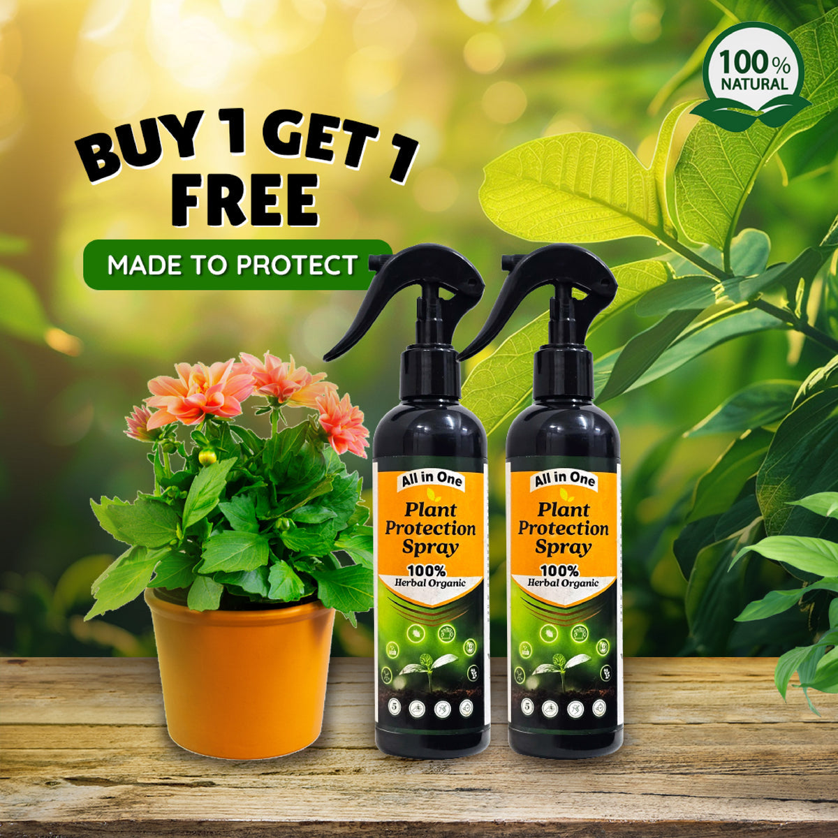 LeafGuard™ - All in One Plant Protection Spray 🌿🛡️(Buy 1 Get 1 Free🔥🔥)